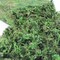 Artificial Moss, 10.5 OZ Green Moss for Decorating, Faux Moss for Crafts, Decorative Moss for Plants Indoor, Table Centerpieces, Fairy Garden Wedding Decor